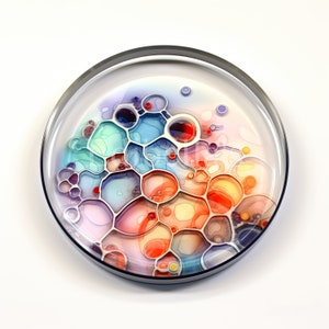 Petri Dish / Conjunto de 10 / Paquete de imágenes prediseñadas / JPEG de alta calidad / PNG transparentes / Descarga digital / USO COMERCIAL GRATUITO / Arte de microbiología