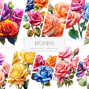 Rosas / Juego de 12 / Paquete de imágenes prediseñadas / JPEG de 300 DPI / PNG transparentes de 300 DPI / Descarga digital / Uso comercial gratuito / Arte digital floral