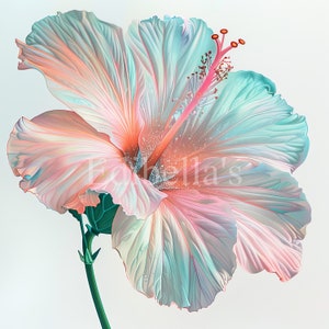 Pastell Hibiskus Sublimation Clipart 8 | 300 DPI JPEG und Transparent PNG | 4096 x 4096 Pixel | 34 x 33 cm | Digitaler Download