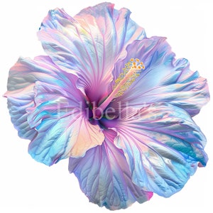 Pastel hibiscus sublimatie clipart 1 | 300 dpi jpeg en transparante png | 4096 x 4096 pixels | 13,65 x 13,65 inch | Digitale download