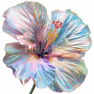 Clipart Sublimação Hibisco Pastel 7 | JPEG de 300 DPI e PNG transparente | 4096 x 4096 pixels | 13,65 x 13,65 polegadas | Download digital