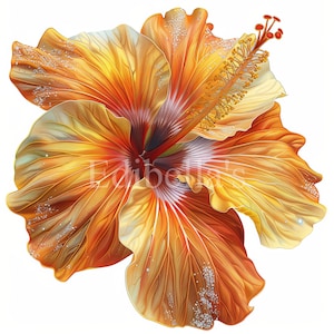 Clipart sublimation d'hibiscus pastel 13 | 300 ppp JPEG et PNG transparents | 4096 x 4096 pixels | 13,65 x 13,65 pouces | Téléchargement numérique