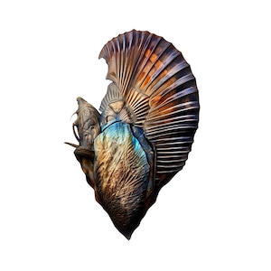 May include: A close-up of a decorative insect sculpture with a metallic finish. The sculpture features a large, fan-shaped wing and intricate details. The colours are primarily brown, gold, and blue.