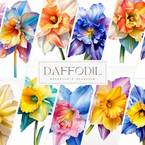 Narcis | Set van 12 | Clipartbundel | 300 DPI JPEG's | 300 DPI transparante PNG's | Digitale download | Gratis commercieel gebruik | Regenboog bloemen