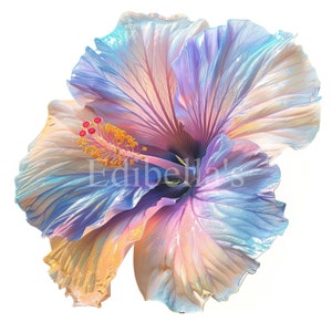 Pastel hibiscus sublimatie clipart 18 | 300 dpi jpeg en transparante png | 4096 x 4096 pixels | 13,65 x 13,65 inch | Digitale download