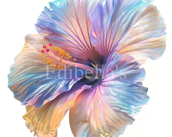 Pastel Hibiscus Sublimation Clipart 18 | 300 DPI JPEG and Transparent PNG | 4096 x 4096 Pixels | 13.65 x 13.65 Inches | Digital Download