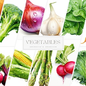Puede incluir: Una colección de verduras frescas, que incluyen una cebolla roja, ajo, brócoli, espinacas, maíz, espárragos, rábanos, remolacha y col rizada. Las verduras están dispuestas en un collage con un fondo blanco y el texto "VEGETABLES" y "edibella's showroom".