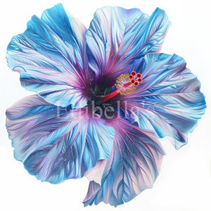 Pastell Hibiskus Sublimation Clipart 10 | 300 DPI JPEG und Transparent PNG | 4096 x 4096 Pixel | 34 x 33 cm | Digitaler Download