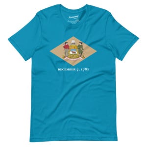 Delaware State Flag T-Shirt