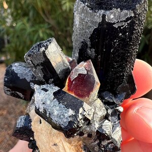 May include: A cluster of black tourmaline crystals with a red and clear quartz crystal in the center. The crystals are on a white matrix.