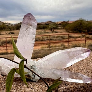 Vera Cruz Amethyst Var. Quartz | Large 4” Tall Crystals | Stands Upright | High Quality | From Mexico