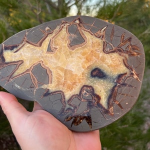 May include: A polished, brown, and yellow geode with a unique, intricate pattern of crystals. The geode is shaped like a heart and has a smooth, polished surface.