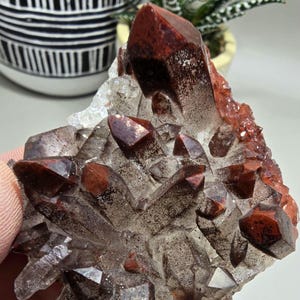 Red Dragon Quartz | Sparkling Red & Black Iron Hematite Quartz Cluster | Natural Mineral | High Quality | From Tinjdad, Morocco