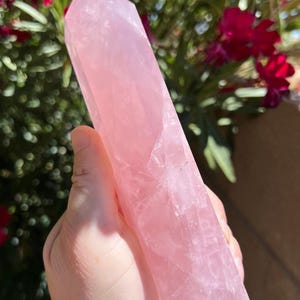 Rosé Quartz Point | High Quality | Beautiful Gemy Pink Crystal | Rainbow Inclusions | Shimmering Flashes | X- Large 7 1/2” Tall