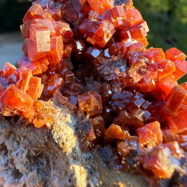 Red Vanadinite on Beige Matrix | Vibrant Red Crystals | Excellent Condition | From Morocco | Completely Natural