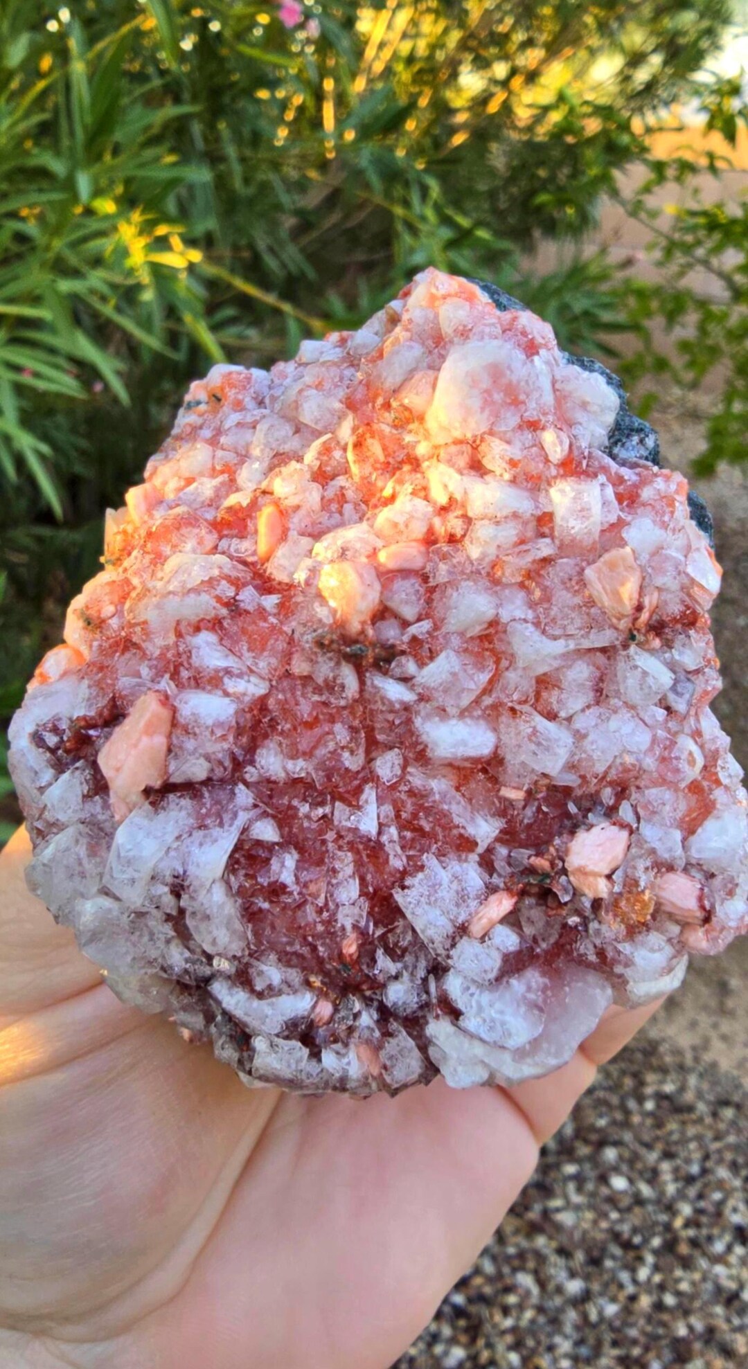 Rare Red Diamond Apophyllite/zeolite Maharashtra, India Clear Crystals ...