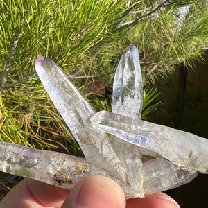 Vera Cruz Amethyst Var Quartz | Purple Phantoms Tips | Unique Formation | Rare Extra Large 4.5” Elongated Crystals | Mexico