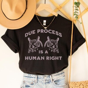 May include: Black t-shirt with a graphic of two owls and the text "Due Process is a Human Right".