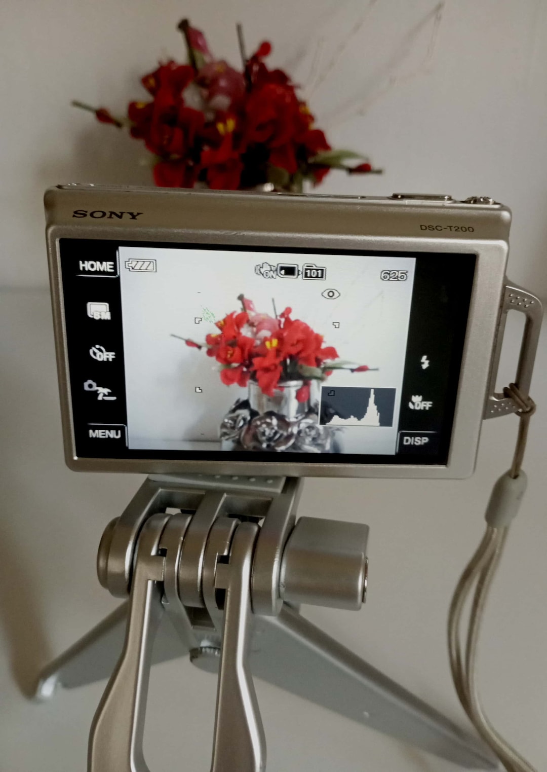 Sony Cybershot DSCT200 8.1MP Compact Digital Camera Etsy