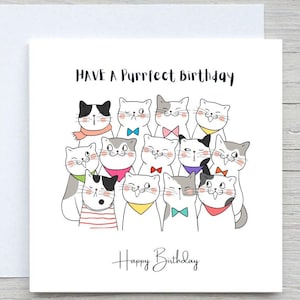 Birthday Card, Birthday greeting card, Cat Card, Cute Birthday card, cat lover card