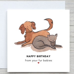 Alles Gute zum Geburtstagskarte von Haustieren, von Hund und Katze, von Karte Haustier, von Karte Hund und Katze, Geburtstagskarte von Pelzbabys