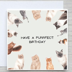 personalised Birthday Card, Funny Birthday card, Happy Birthday card,  Purrfect Birthday, cat lover birthday, cat birthday card