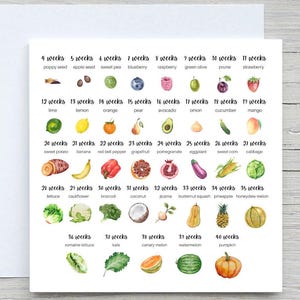 Personalised Pregnancy Card, Pregnant Card, new baby card ,Congratulations on pregnancy card, Baby size Chart card, pregnancy card