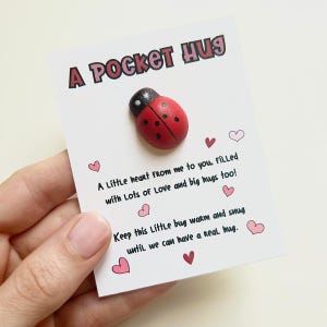 Zakknuffel Valentijn: cadeau lange afstand lieveheersbeestje