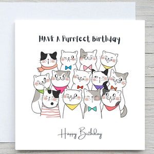 Birthday Card, Birthday greeting card, Cat Card, Cute Birthday card, cat lover card