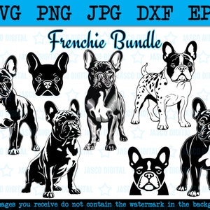 Pacote svg de buldogue francês, Frenchie svg manchado, arquivo de corte Cricut de buldogue francês, patas espiando de buldogue francês, logotipo de pedigree de filhote de cachorro de raça de cachorro