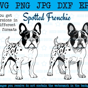 Franse Bulldog SVG bundel, gevlekte Frenchie SVG, Franse Bulldog Cricut gesneden bestand, Franse Bulldog Peeking Paws, hondenras puppy stamboom logo