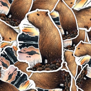 Capybara sticker Laptops decal  Water Bottles decal Capybara gift sticker car window decal capybara sticker  Water Bottles sticker