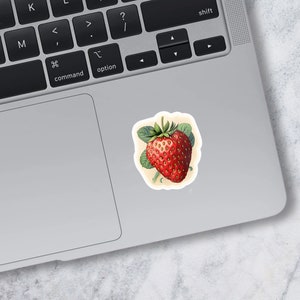 Strawberry Vinyl Decal for Strawberry Lover Decal Laptop Sticker Water Bottles Sticker Strawberry sticker Strawberry   Decal laptop decal