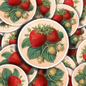Strawberry Vinyl Decal for Strawberry Lover Decal Laptop Sticker Water Bottles Sticker Strawberry sticker Strawberry   Decal laptop decal