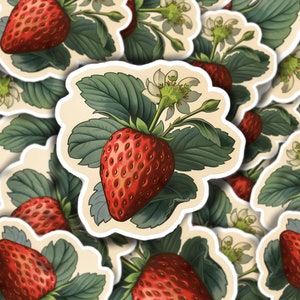 Strawberry Vinyl Decal for Strawberry Lover Decal Laptop Sticker Water Bottles Sticker Strawberry sticker Strawberry   Decal laptop decal