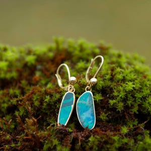 May include: A pair of gold earrings with blue and green opal stones. The earrings are hanging from a bed of green moss.