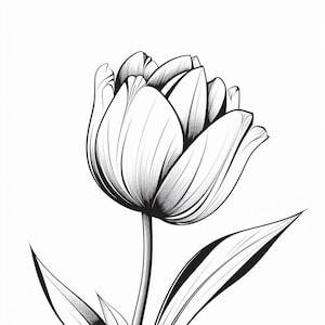 Dessin au trait simple Fleurs, fleurs sauvages, art mural, illustration d'art mural personnalisé