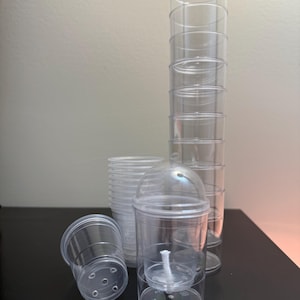 2-Inch Self-Watering Pots (Set of 10)