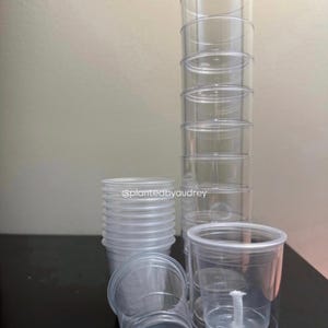 2-Inch Self-Watering Pots (Set of 10)