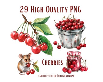 Watercolor Cherry Clipart, Coquette Bow Aesthetic, 29 HIGH QUALITY Cherry PNG for Crafts Cards, Scrapbook, Journal, Recipes, Commercial Use