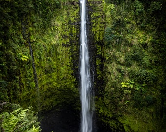 Akaka Falls State Park Hawaii Island Waterfall Cliff Woods Forest Photography Wall Art