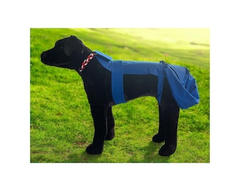 Wiggle Saver tail protector(male) for happy tail syndrome and other tail injuries