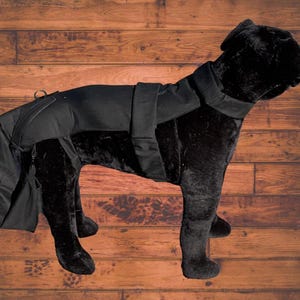 Protector de cola Wiggle Saver para machos “Diseño mejorado”