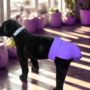 FEMALE Wiggle Saver Tail Protector