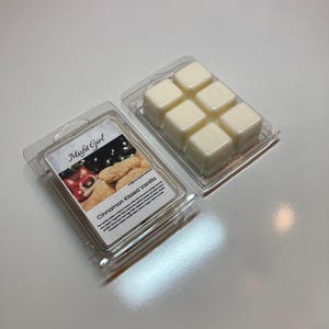 Cinnamon Kissed Vanilla Wax Melt