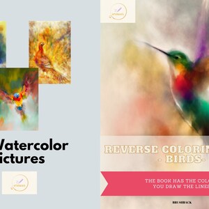 Op de afbeelding: Een omgekeerd kleurboek met 12 aquarel-vogel-illustraties. De omslag toont een kleurrijke kolibrie in vlucht. De tekst op de omslag luidt "Omgekeerd kleurboek - Vogels - Het boek heeft de kleuren. Jij tekent de lijnen!"