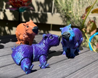 Kapybara Flexi