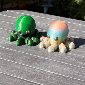 Octupus baby Flexis