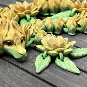 Dragon Serenity (11 ou 20 pouces)