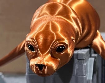 Sea-lions (7.5 inches long)